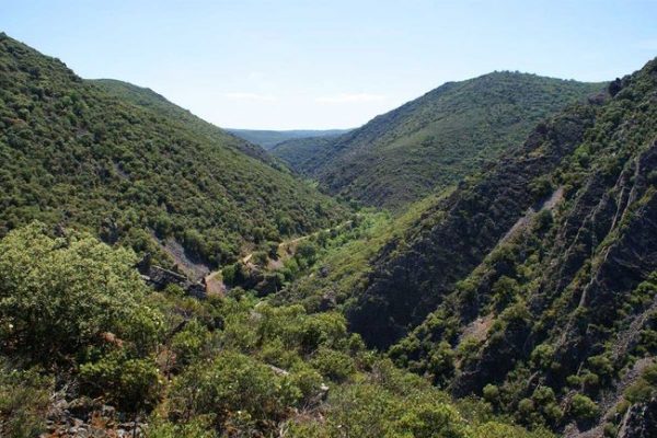 kampaoh cabañeros camping lincetur
