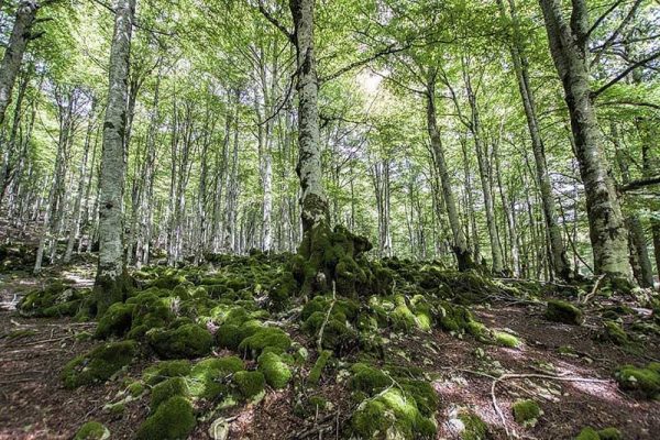 Parque Natural de Urbasa