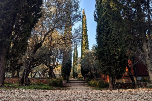 alquezar_5