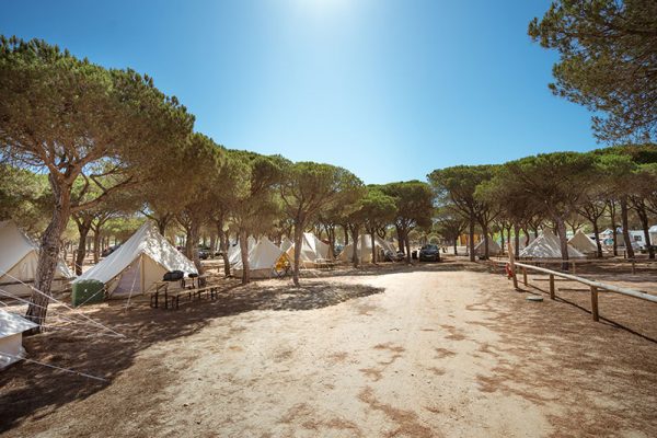 Doñana-2022-Zona-05