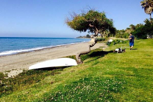 parque camping tropical