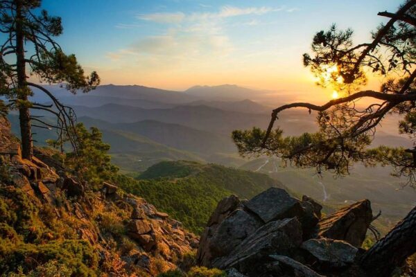 los-reales-de-sierra
