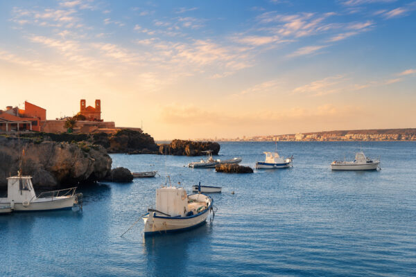 Crevillent 2026 Seleccion-16