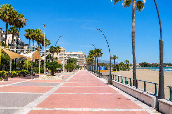 Estepona 2026 Seleccion-18 Estepona 2026 Seleccion-18